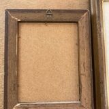 Pair of framed botanical prints
