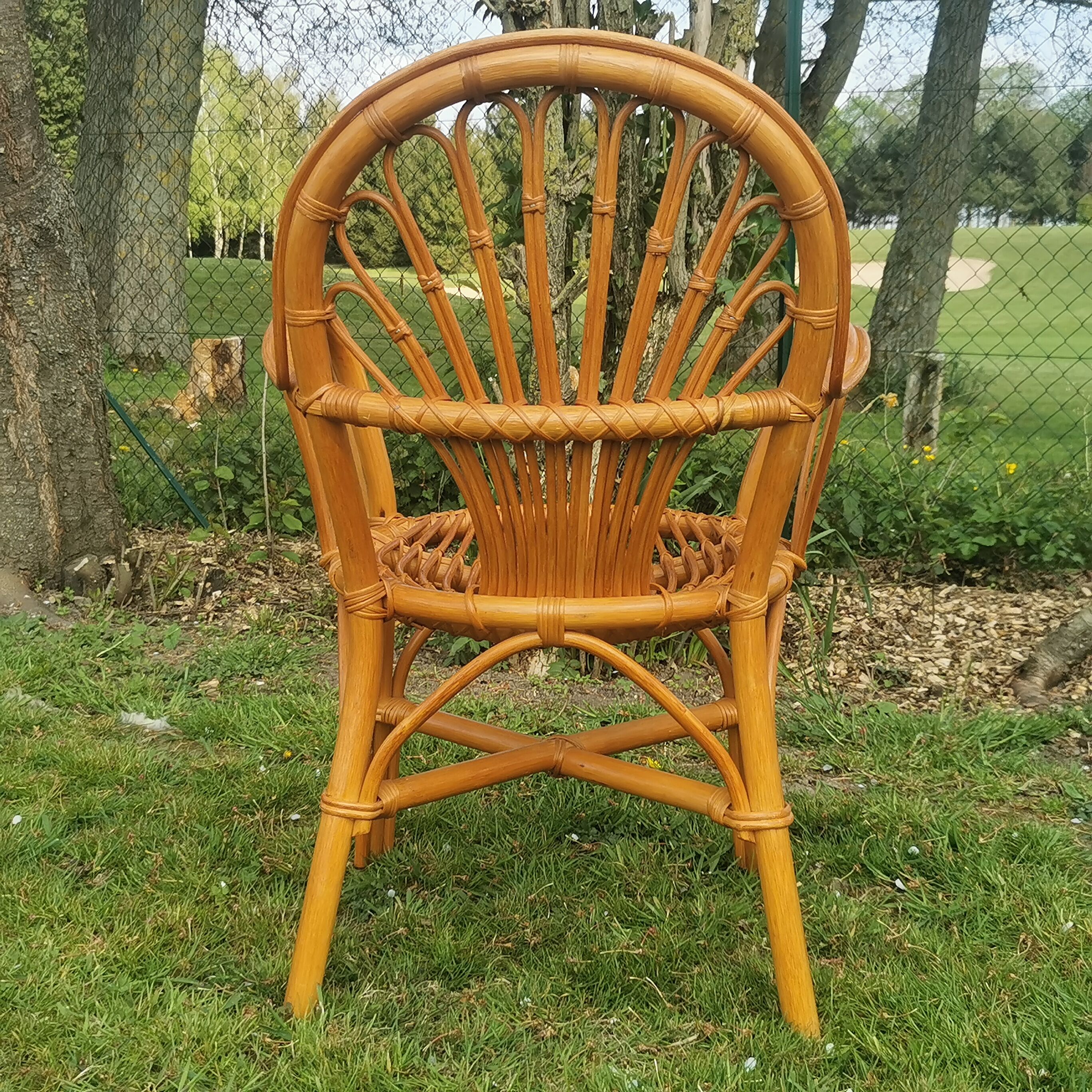 Rattan chairs