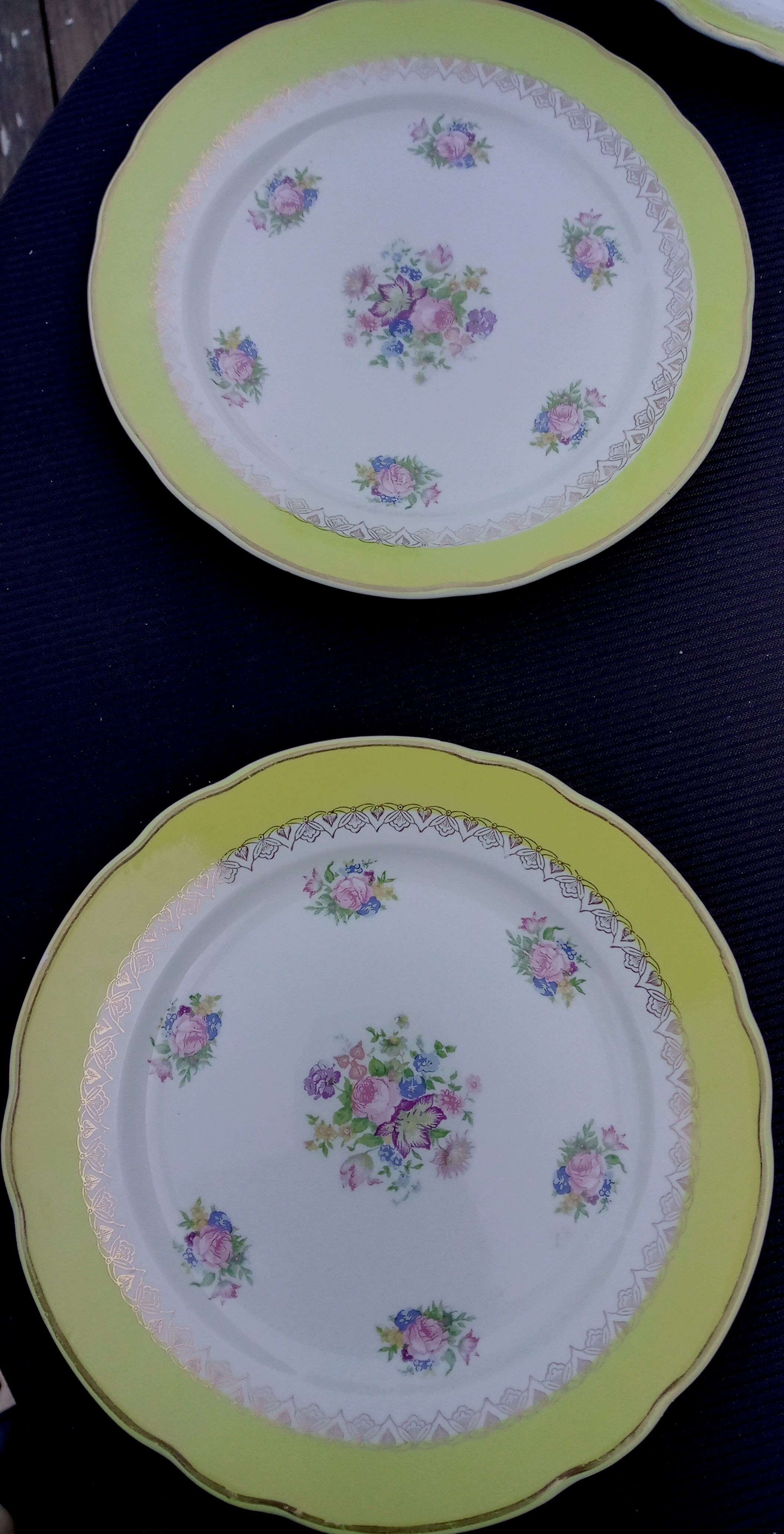 10 flat plates model graziella sarreguemines & digoin