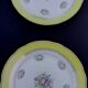 10 flat plates model graziella sarreguemines & digoin