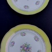 10 assiettes plates modèle graziella sarreguemines & digoin