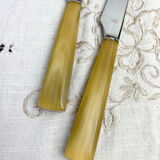 12 vintage nogent knives