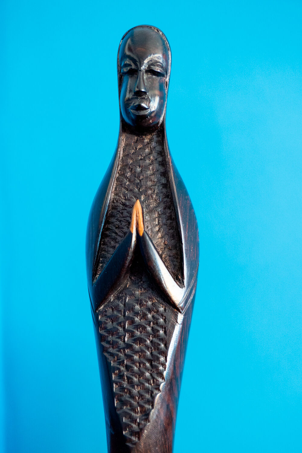 Black virgin in ebony