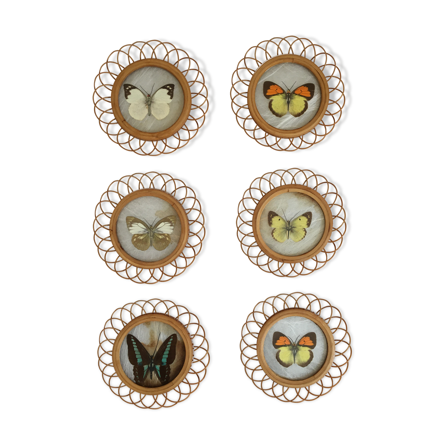 Lot of 6 wooden frames with butterfly