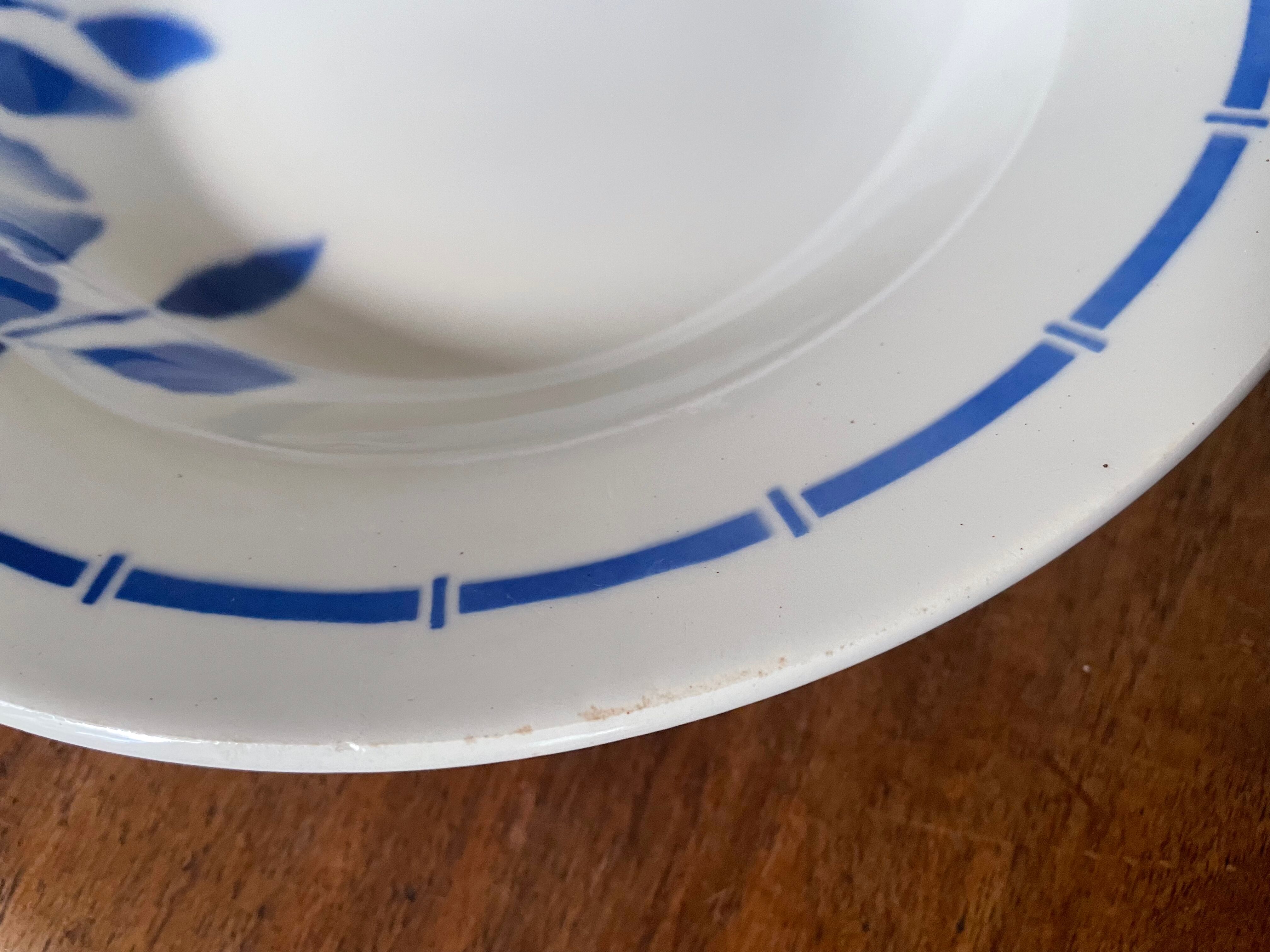 Hollow plates ceranord saint amand blue flower