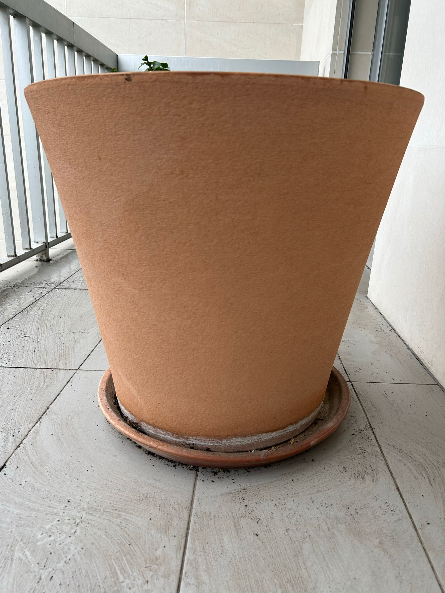Large terracotta pot