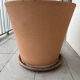 Large terracotta pot