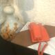 Orange phone with 1977 Contempra dial