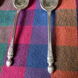 Apollo silver metal mocha spoons