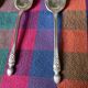 Apollo silver metal mocha spoons