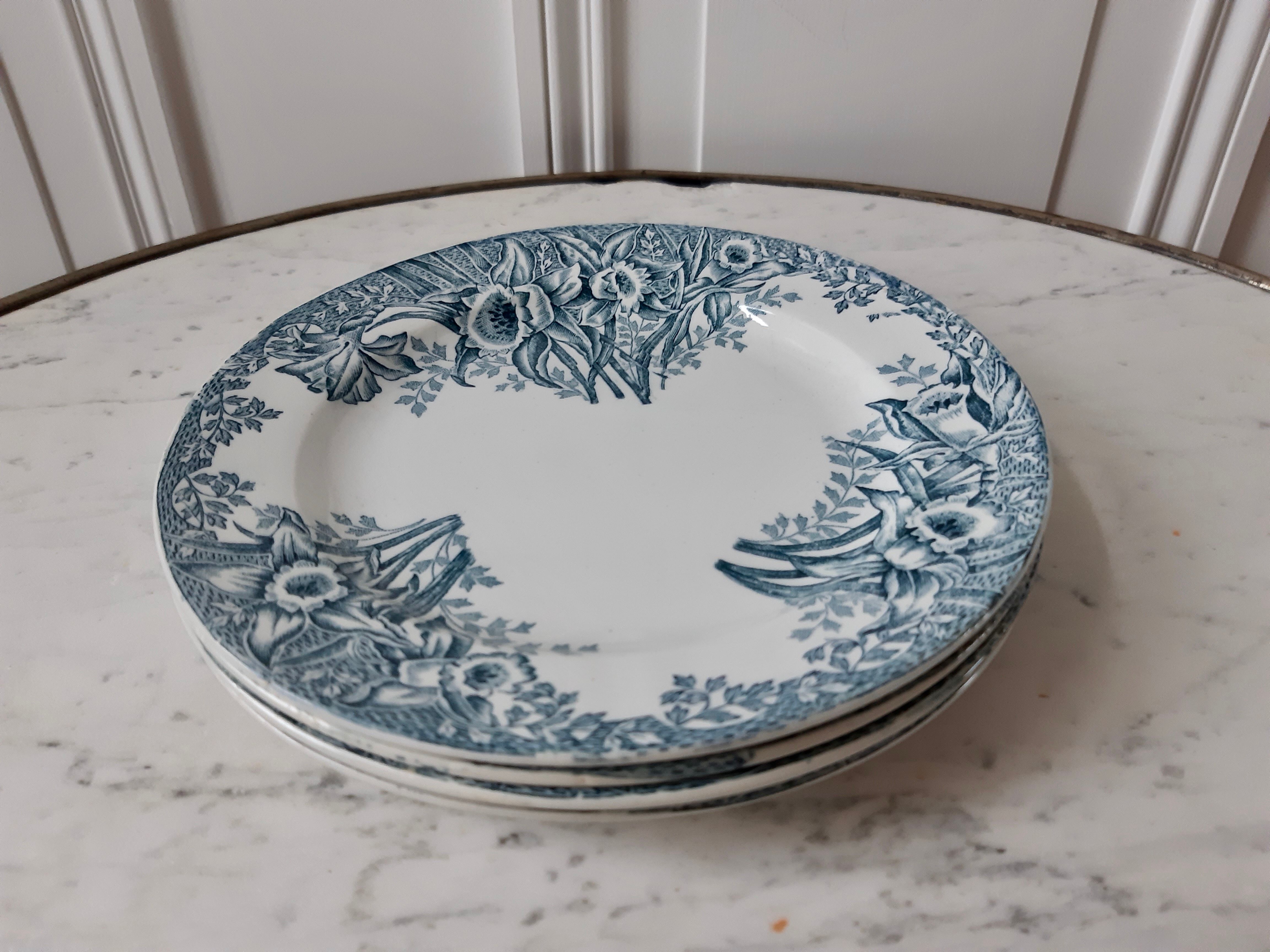 Saint Amand Plates, Narcissus model