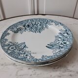 Saint Amand Plates, Narcissus model