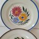 Trio of hbcm plates