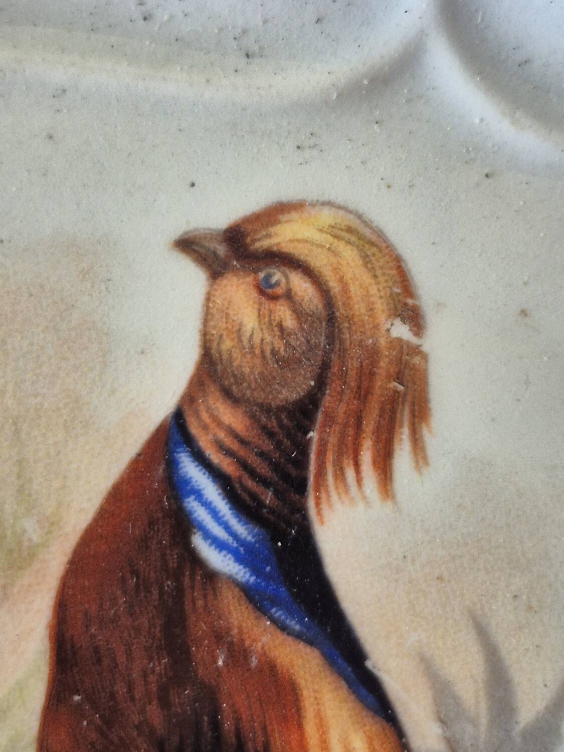 Bird dessert plates