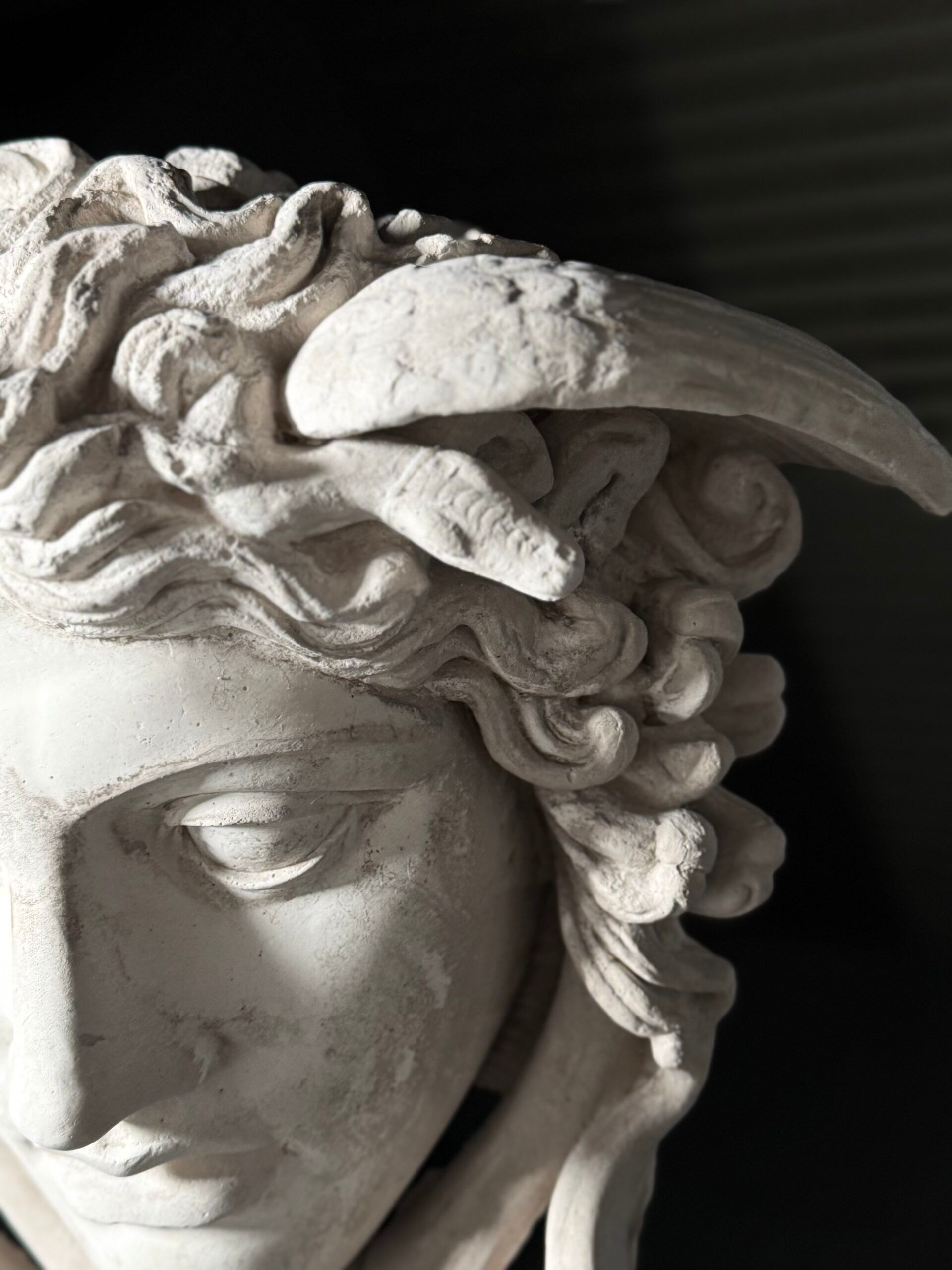 Medusa wall decoration plaster