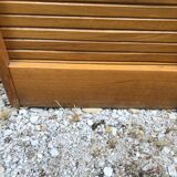 Cabinet notary oak 1950