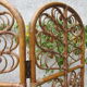 Rattan screen peacock 70s