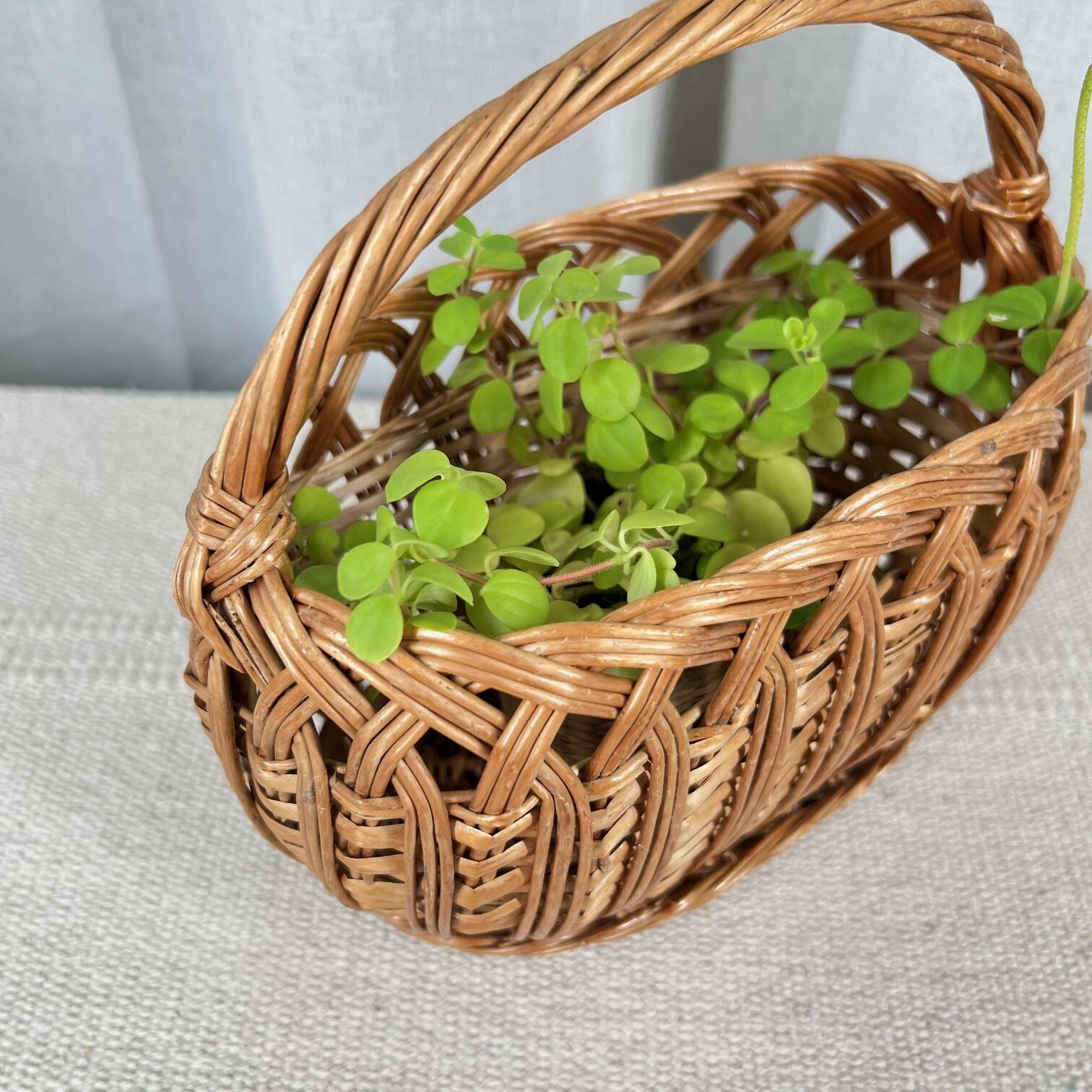 Small oval woven wicker basket