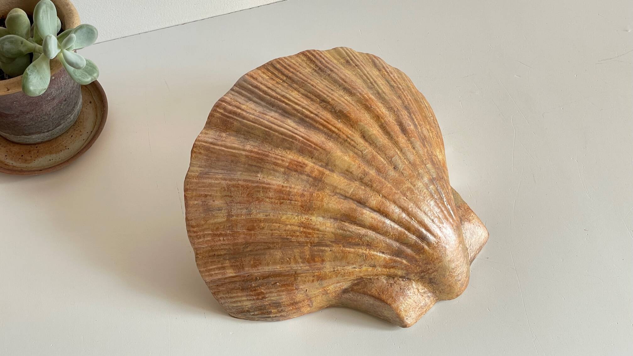 Shell wall enameled by aljezur