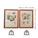 Pair of Botanical Plates 1905 – Peach & Pear – Poiteau