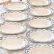 9 19th century ironstone dinner plates from Salins Petit Trianon