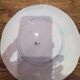 Very beautiful barbotine Vintage plate Choisy Le roi