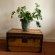 Malle vintage