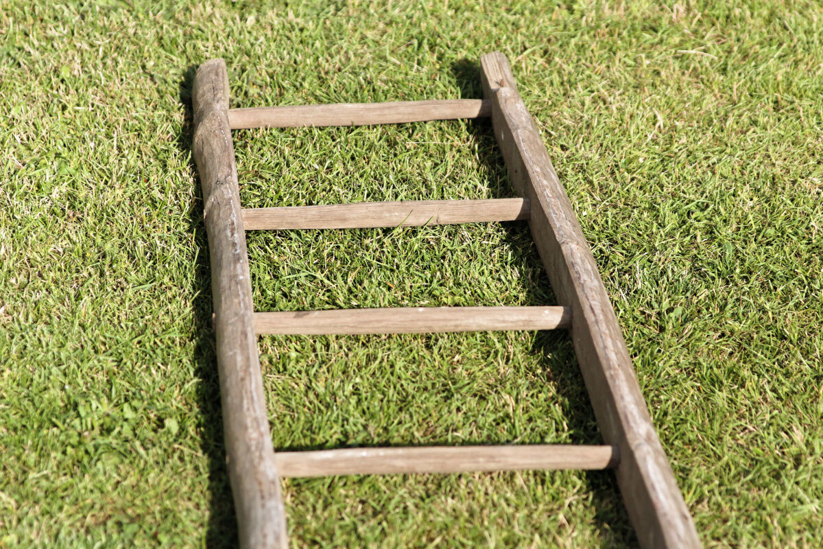 Wooden farm ladder
