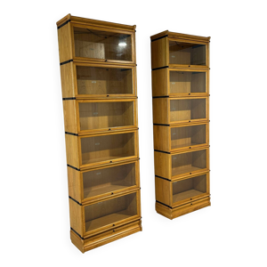 Bibliothèque Globe Wernicke