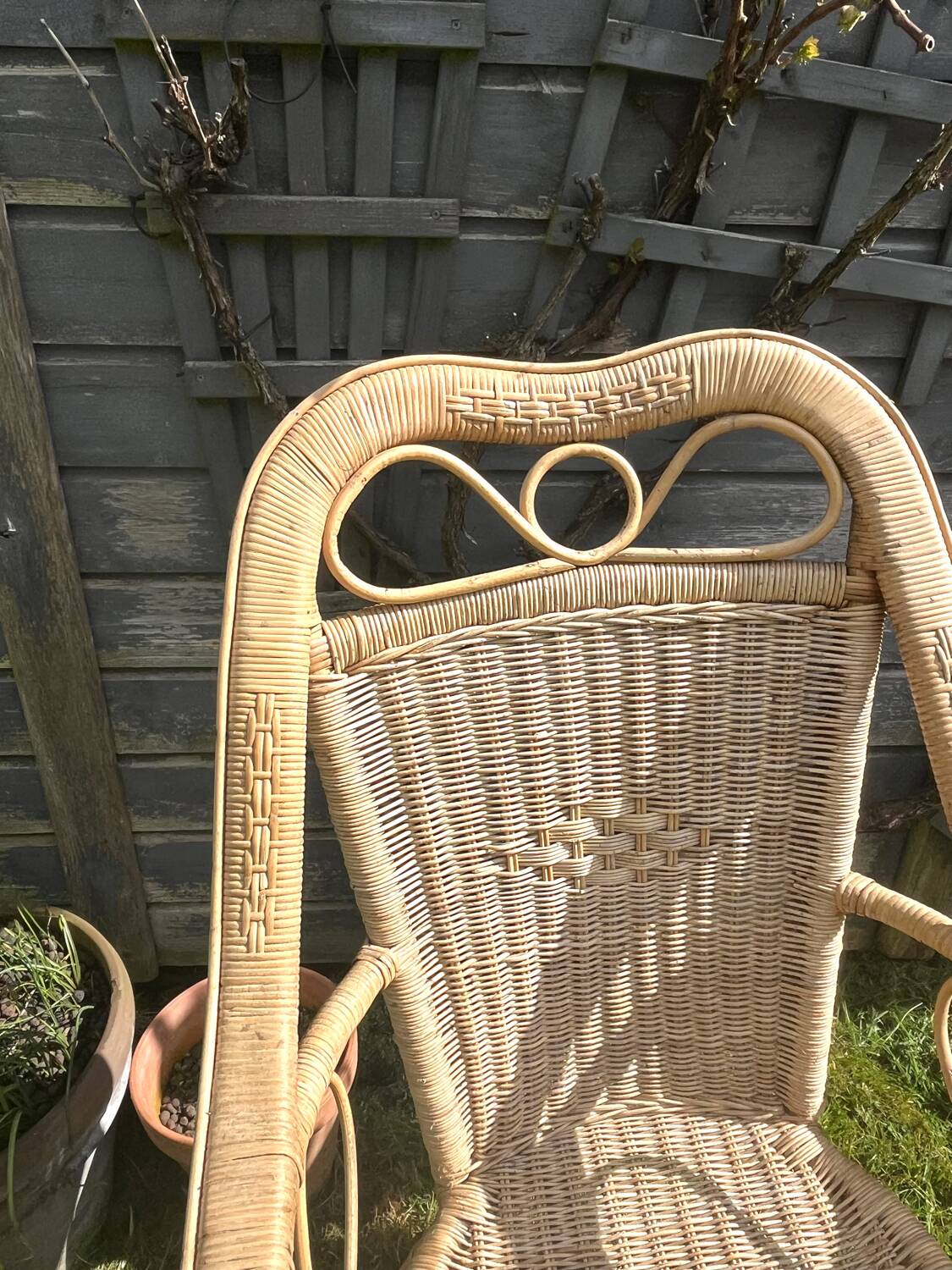 Rattan armchair duo