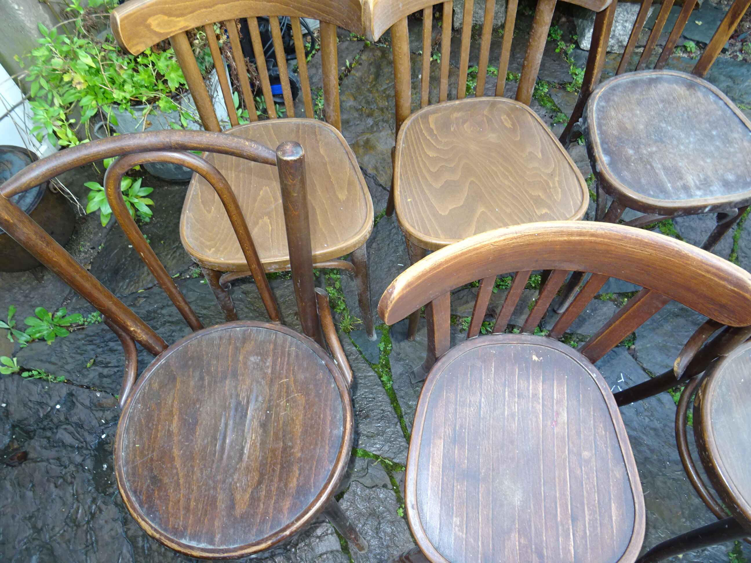 12 bistro chairs