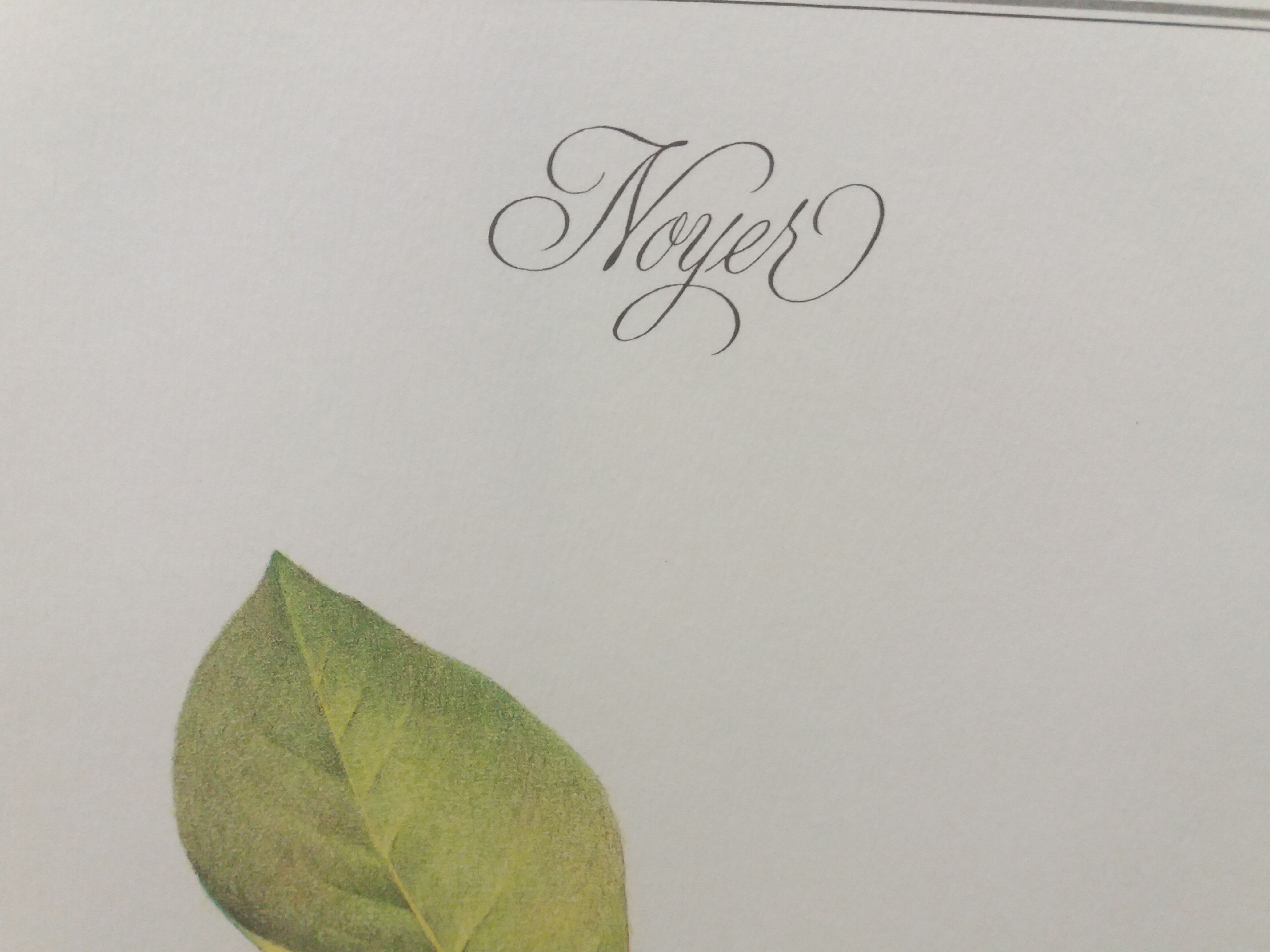 Botanical plank Walnut