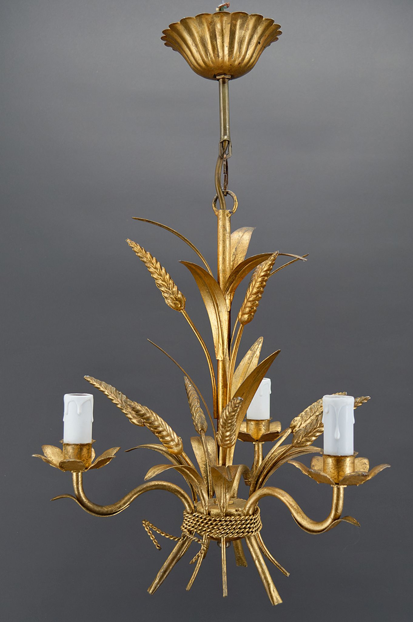Golden suspension on ears of wheat, circa 1960