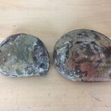 Pair of empty fossilized ammonite pockets