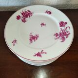 Porcelain service 58 pieces e.Bourgeois Drouot Paris