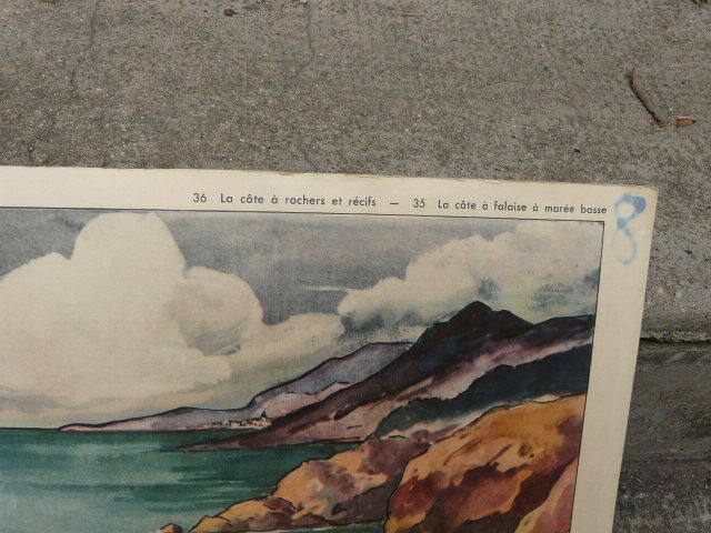 Affiche scolaire Rossignol La côte à rochers et récifs d' un côté / la côte à falaise à marée basse