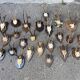 Set of 24 ancient hunting trophies cabinet of curiosities