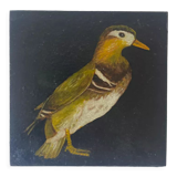 Duck painting
