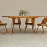 Table a manger a rallonge par Frantisek Jirak pour Tatra , 1960n