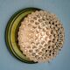 “Bulles” wall lamp for Limburg, blown glass, Germany, 1970s