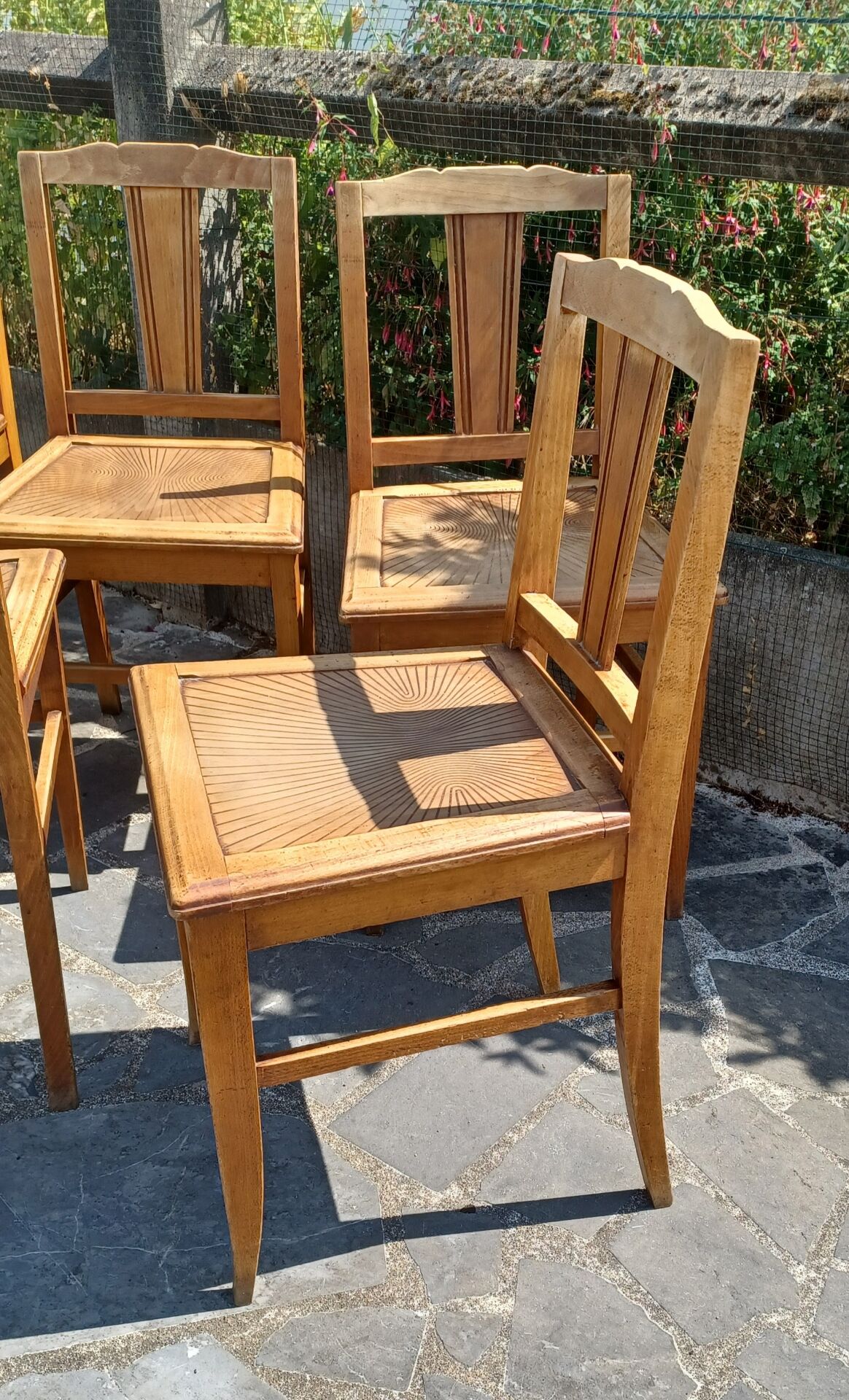 Set of 6 wooden chairs from the 1950s.