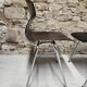 Lot 4 chaises
Flötotto pagwood 1960"