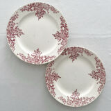 2 flat plates made of ironstone "Louis XV" Choisy le Roi