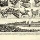 Gravure ancienne 1923 - Courses hippiques par L. Bombled - Cheval litho