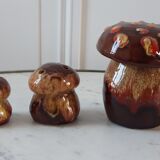 Ceramic salt/pepper trio in the 70s
