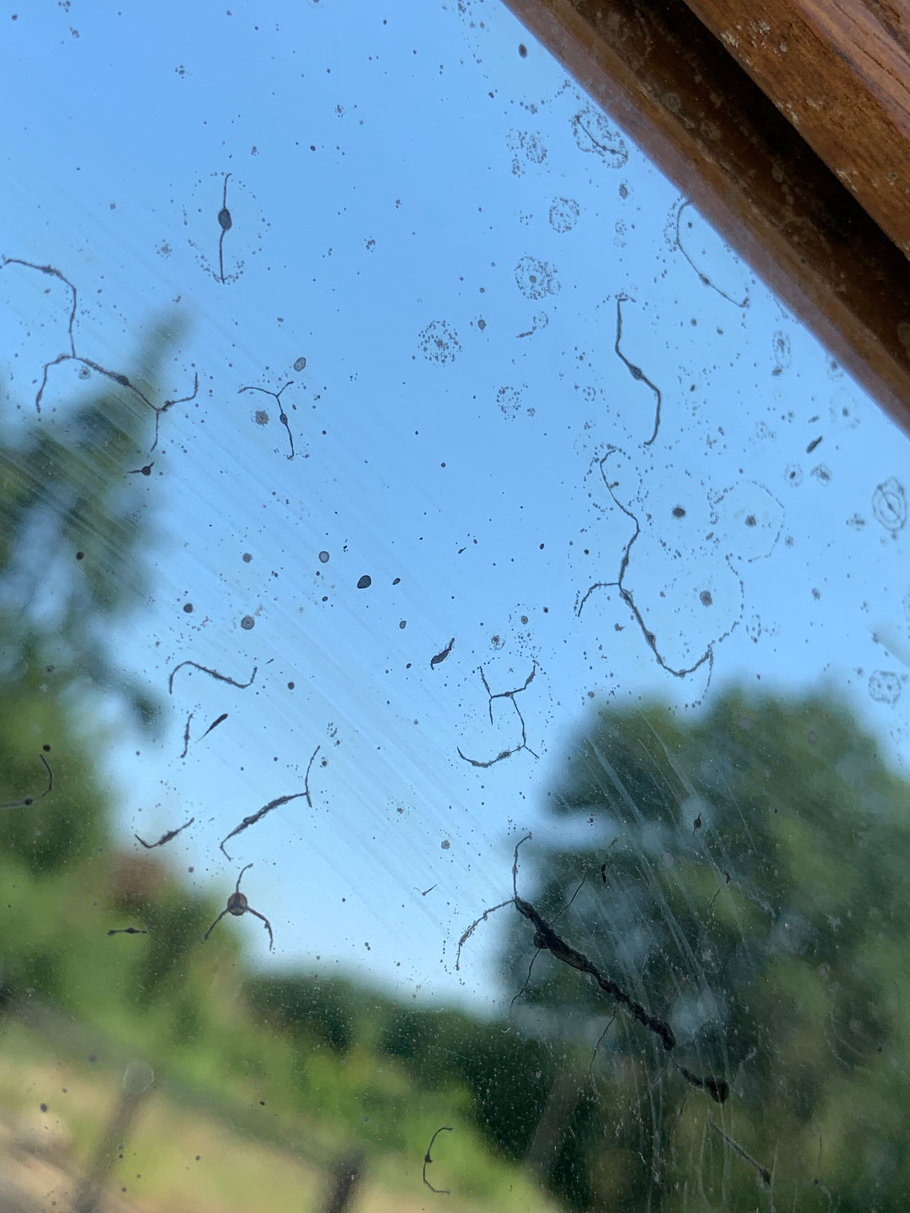 Parisian art deco wardrobe