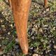 3 Louis Philippe chairs lined