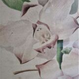 Trois planches botaniques encadrées orchidée rhododendron campanule médium vintage