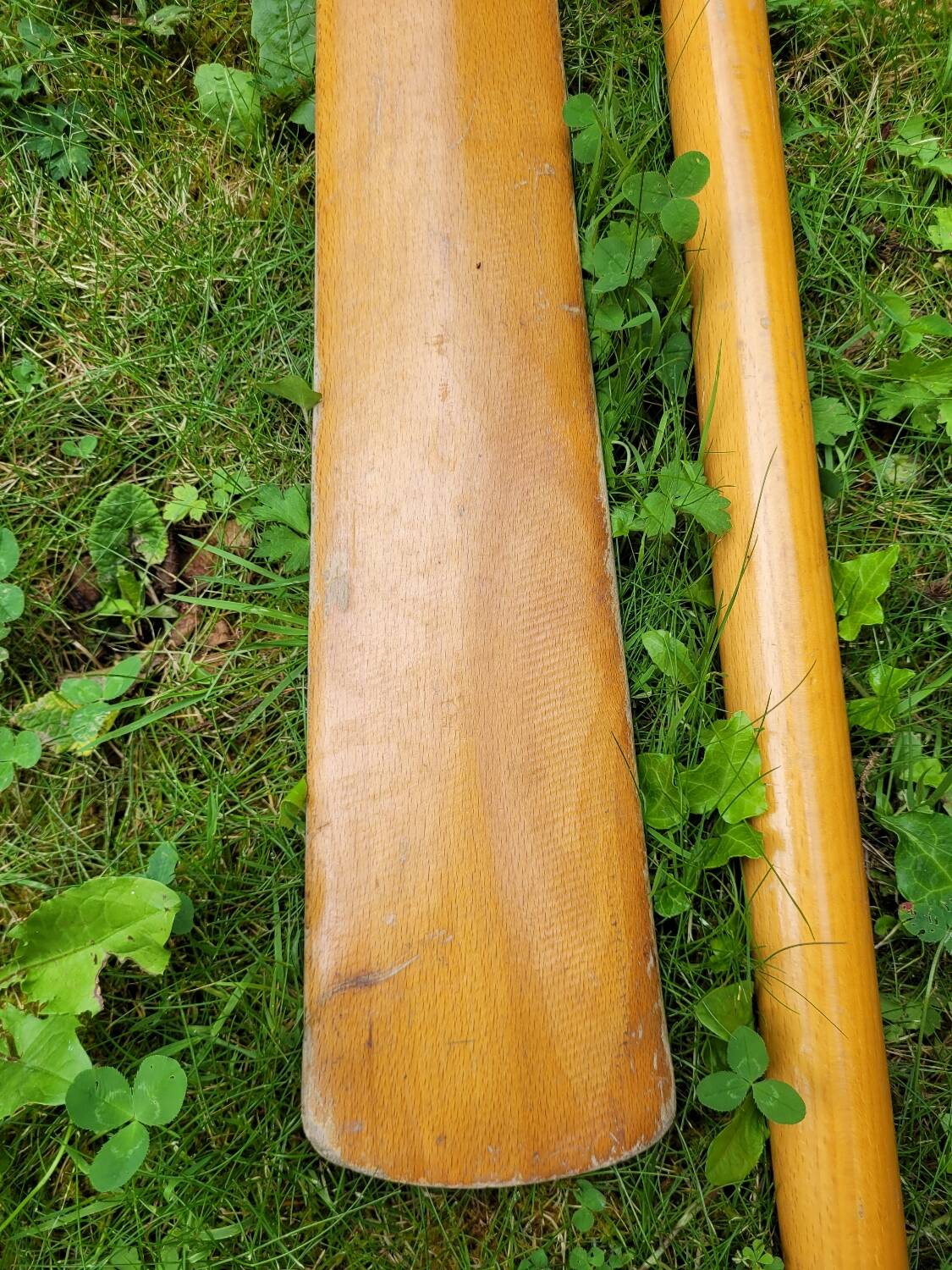 Pair of wooden oars