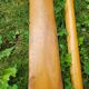 Pair of wooden oars